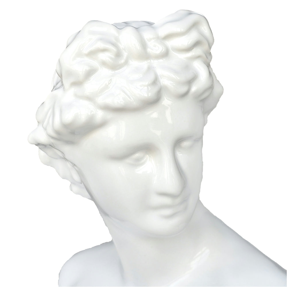 Julian Bust Statue