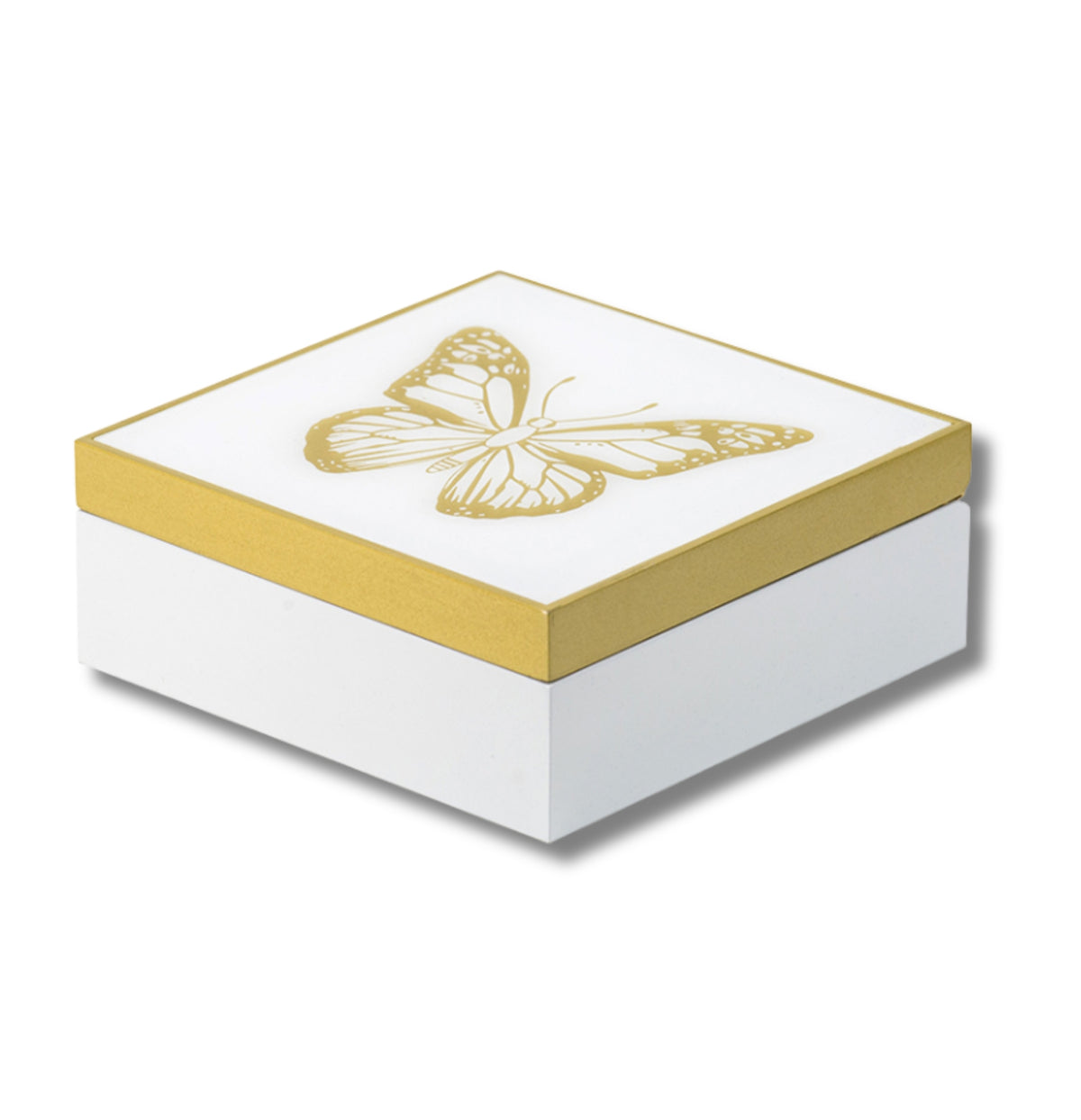 Eden Butterfly Box Decor