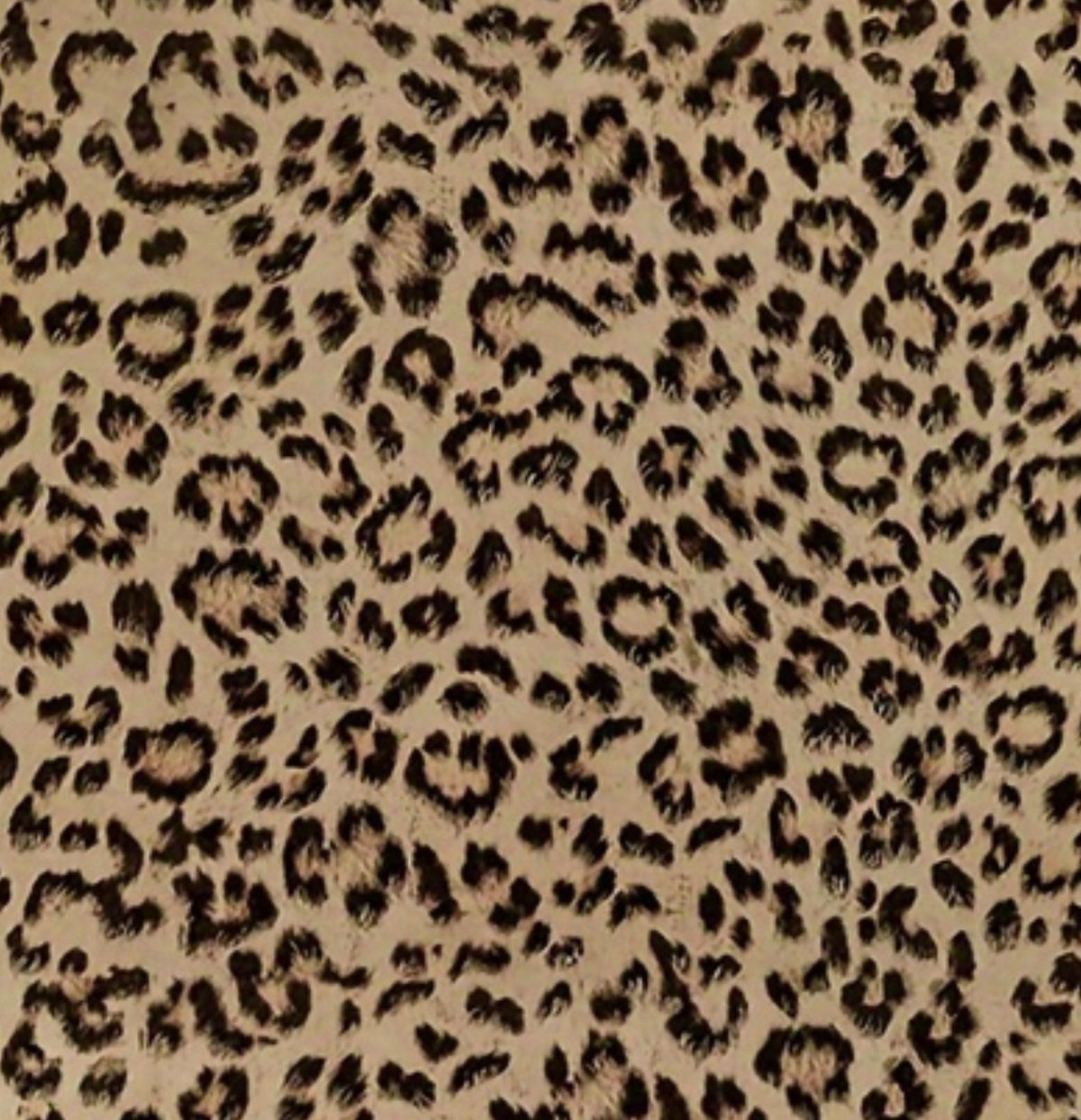 Leopard Print Wallpaper