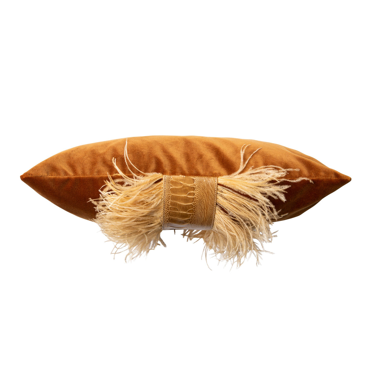 Ostrich Trim Velvet Pillow