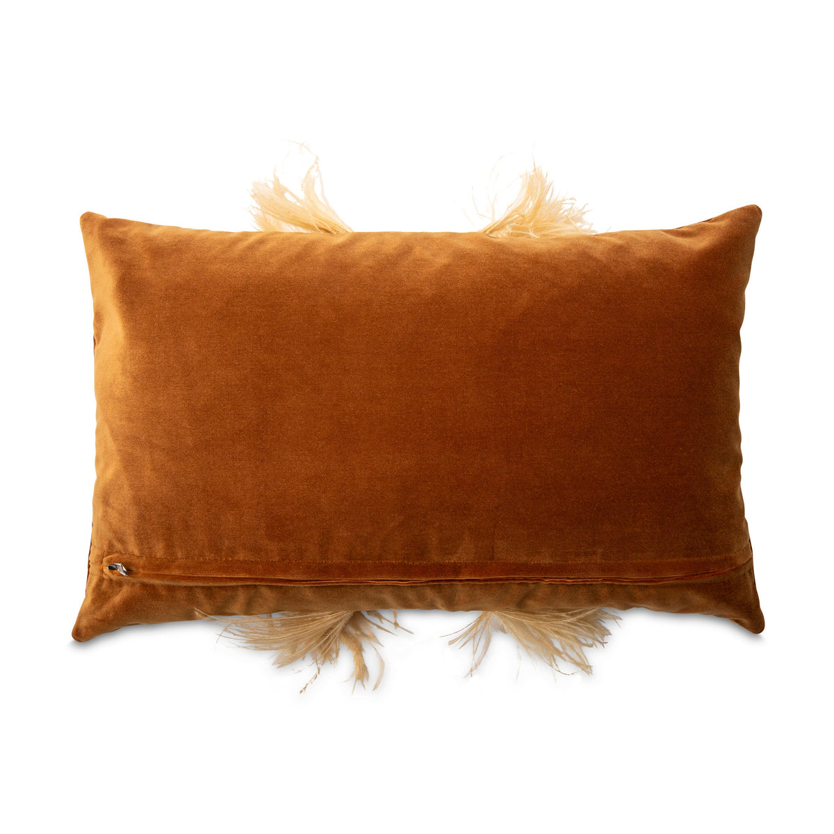 Ostrich Trim Velvet Pillow